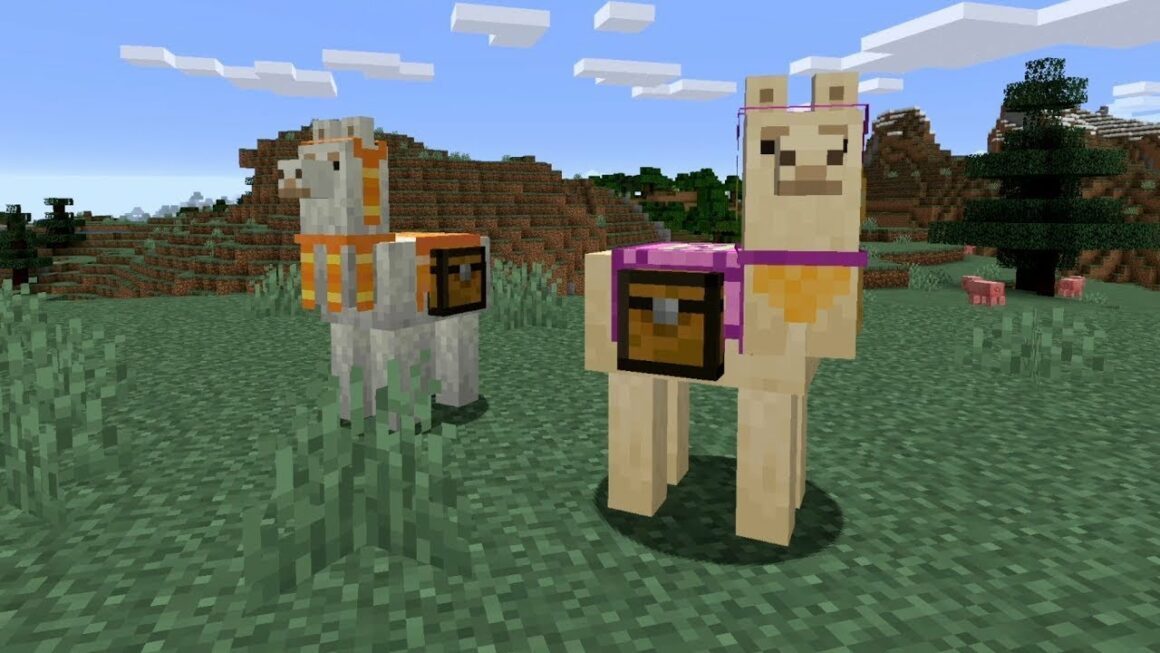 How To Tame and Ride a Llama in Minecraft – Sweet Discord